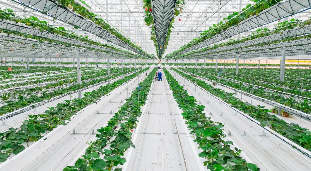 Sensei Farms | Ontario Farm
